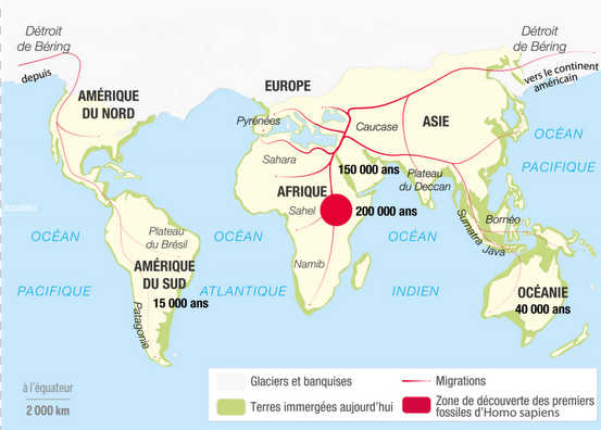 Départ de l'Afrique Départ de l'Afrique