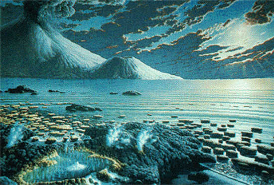 La photosynthèse La photosynthèse