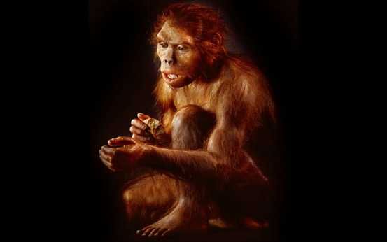 L'Homme habile L'Homme habile