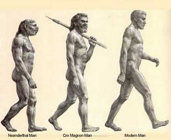Cro-Magnon = Homo sapiens Cro-Magnon = Homo sapiens
