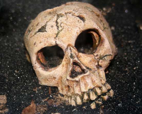 Atapuerca Atapuerca