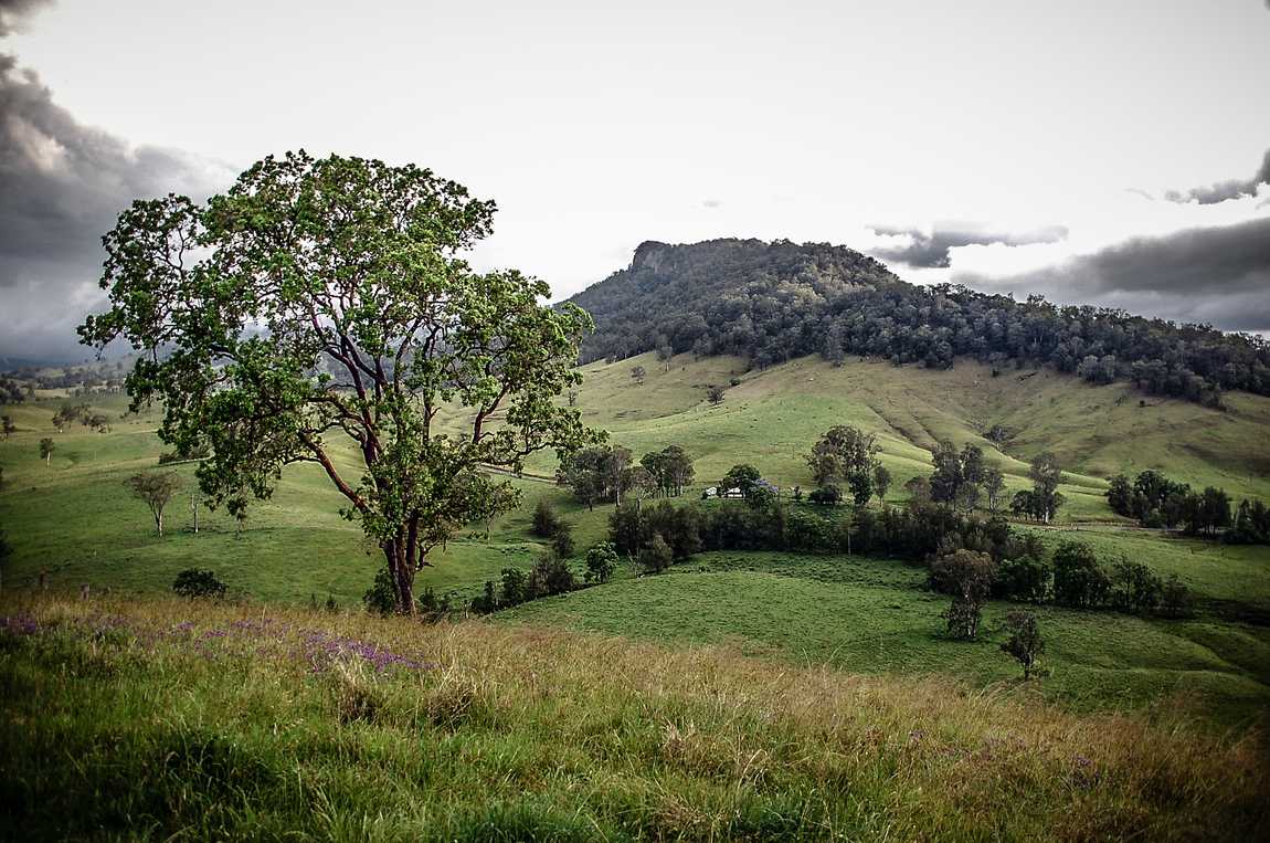 Barrington Tops . Que voir