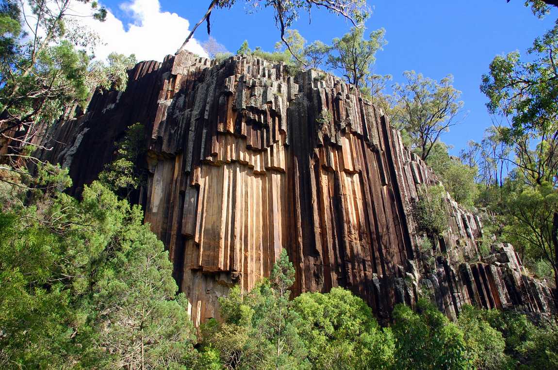 Organ Pipe Rock . Que voir