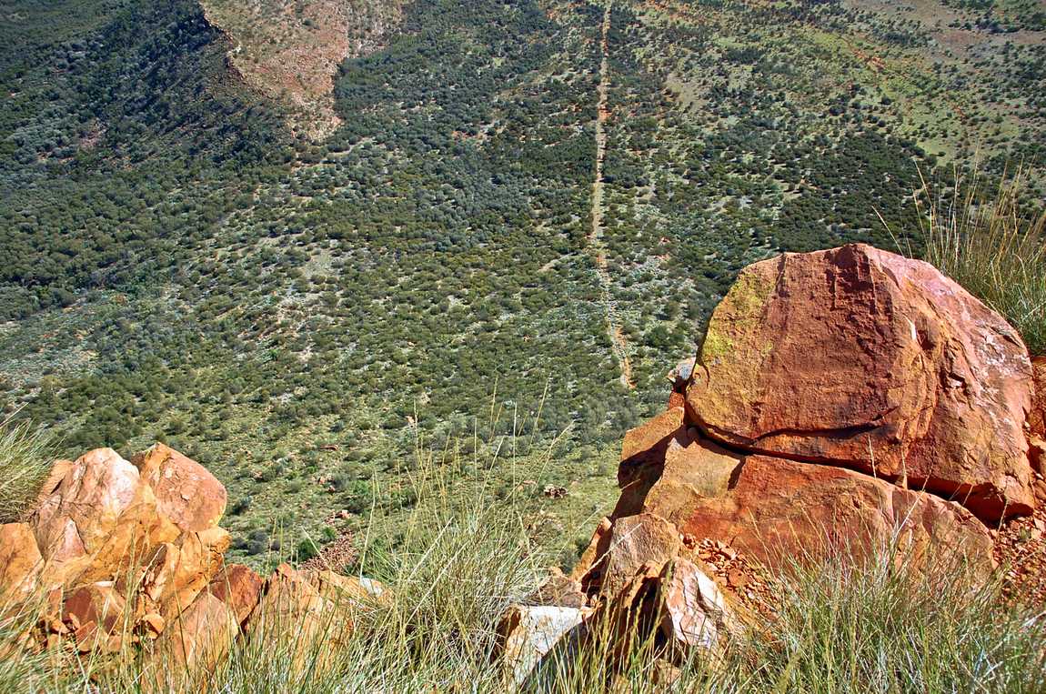 Gibson desert . Que voir
