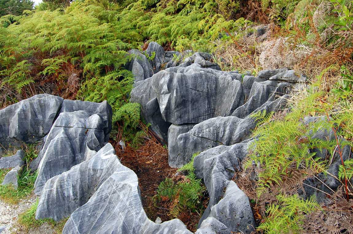 Takaka Hills . Que voir